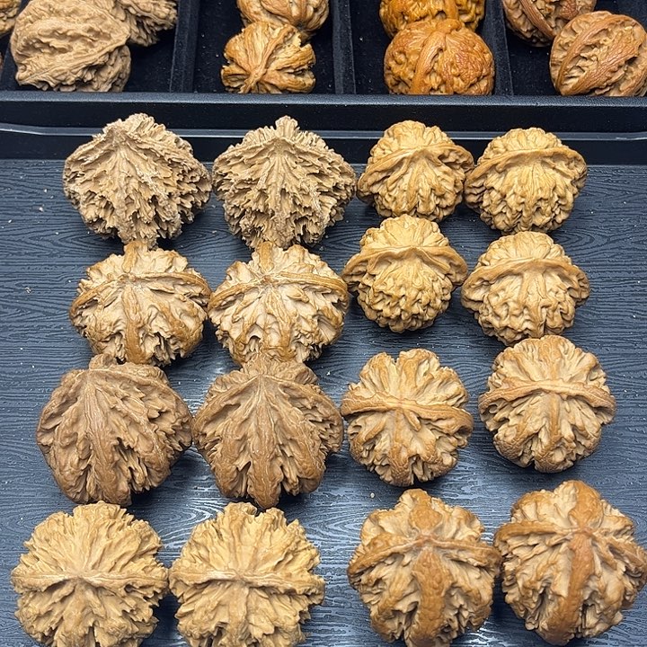 核桃秦岭山脉中段怒江与澜沧江