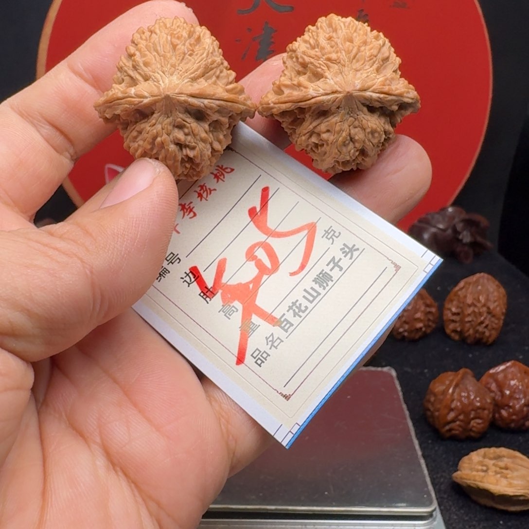 文玩核桃把件34最小百花山狮子头