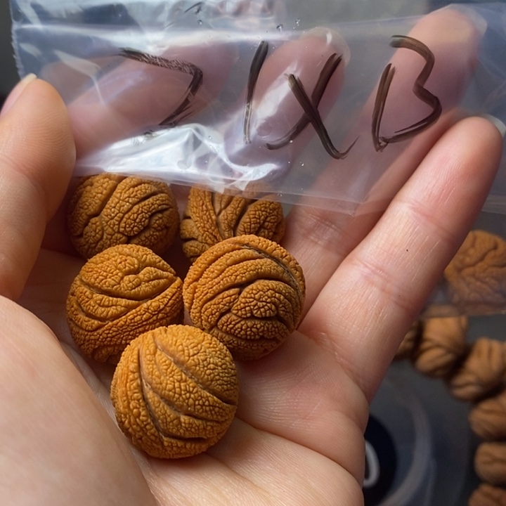 手串文玩核桃秦岭野生龙纹桃核21