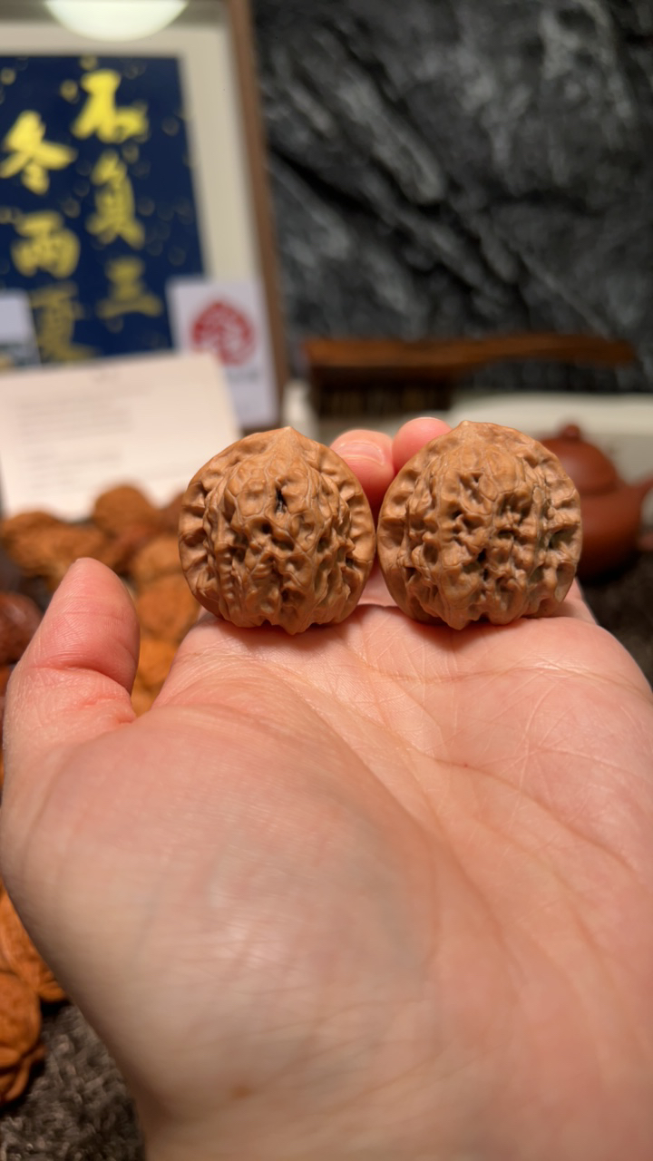 文玩核桃 原生树赤兔6766号32.5尺寸