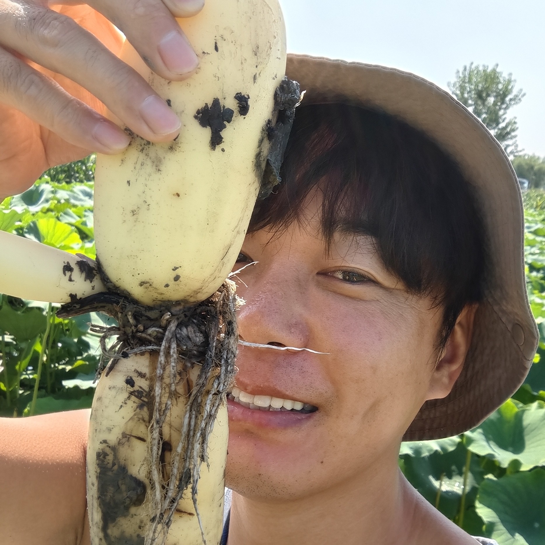 淄博特色马踏湖白莲藕生吃水果藕现挖现发