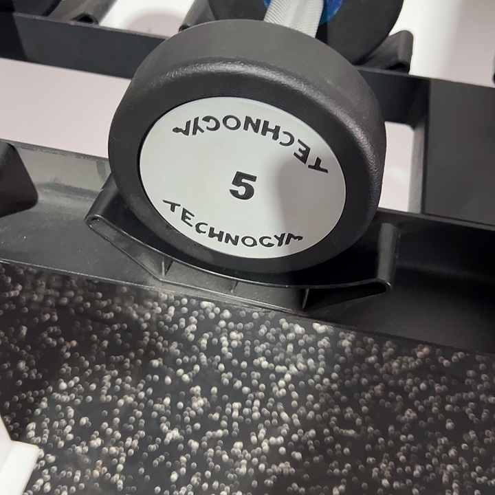 全新纯钢泰诺哑铃5公斤一对灰色