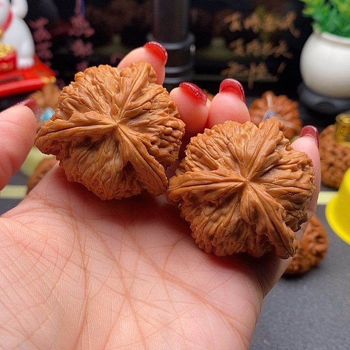 乒***界核桃42拼接白狮子