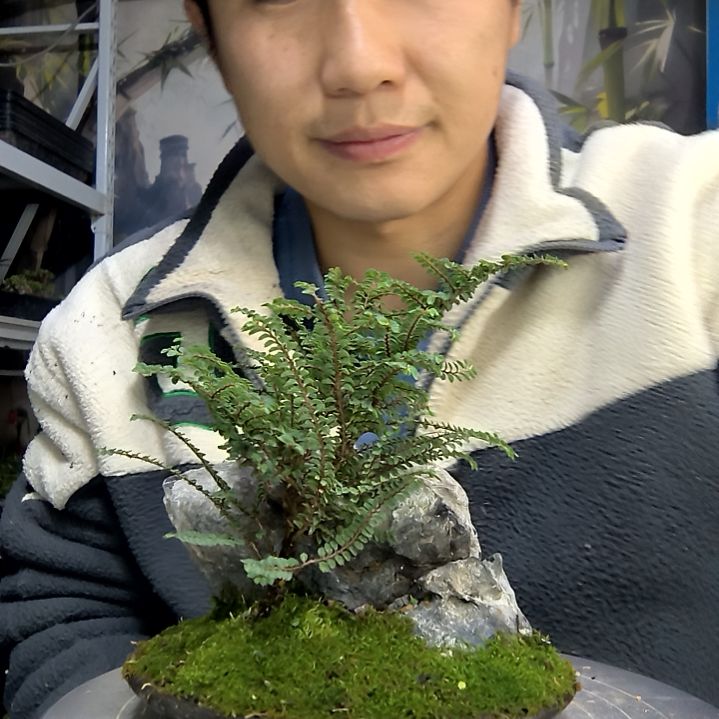 喏*?中青园艺一物一拍花218