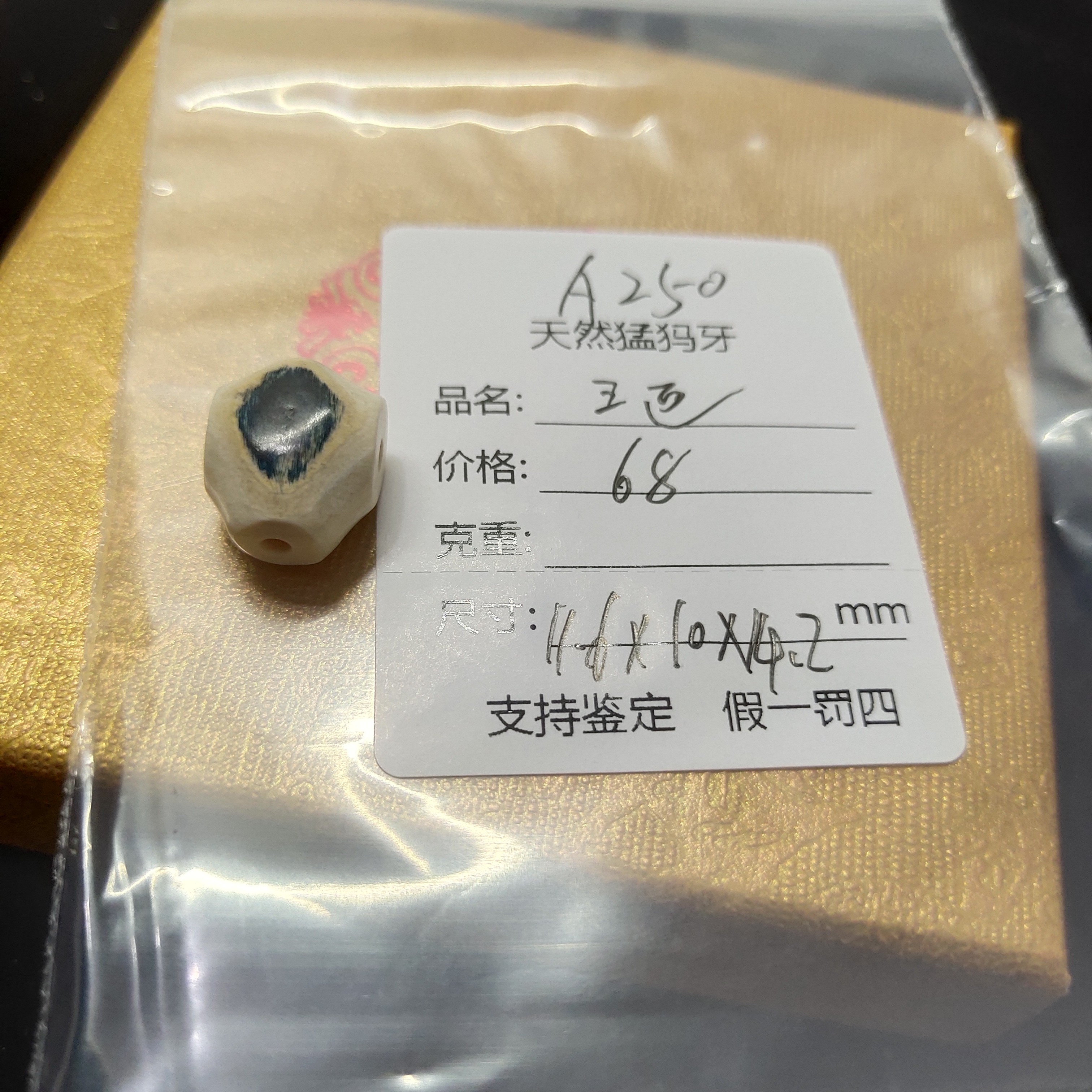 A250天然猛犸牙鲨鱼背三通