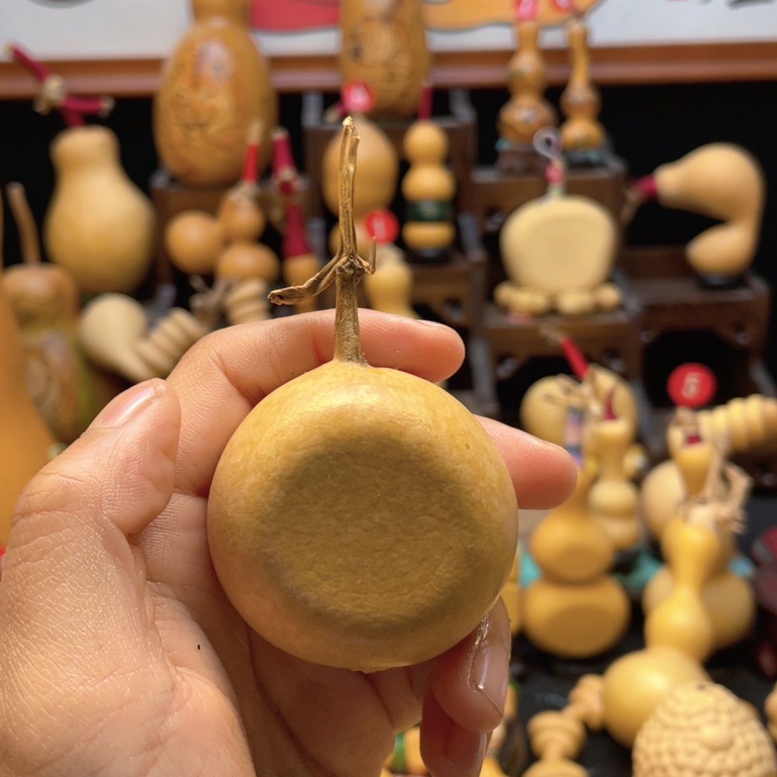 _***.大自然的秘密第十一节的