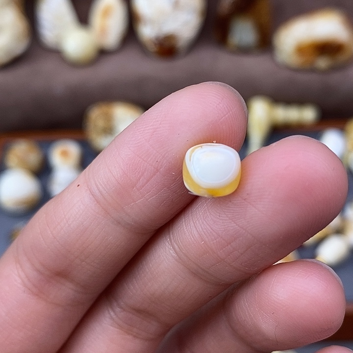 琥珀裸石未镶嵌7.9老型a163