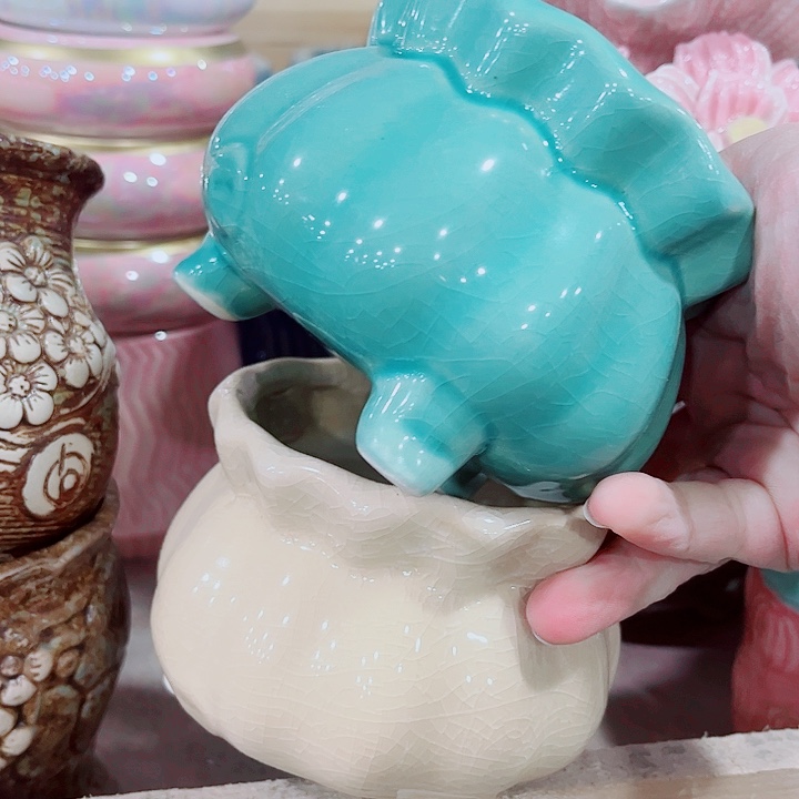 多肉植物陶瓷花盆