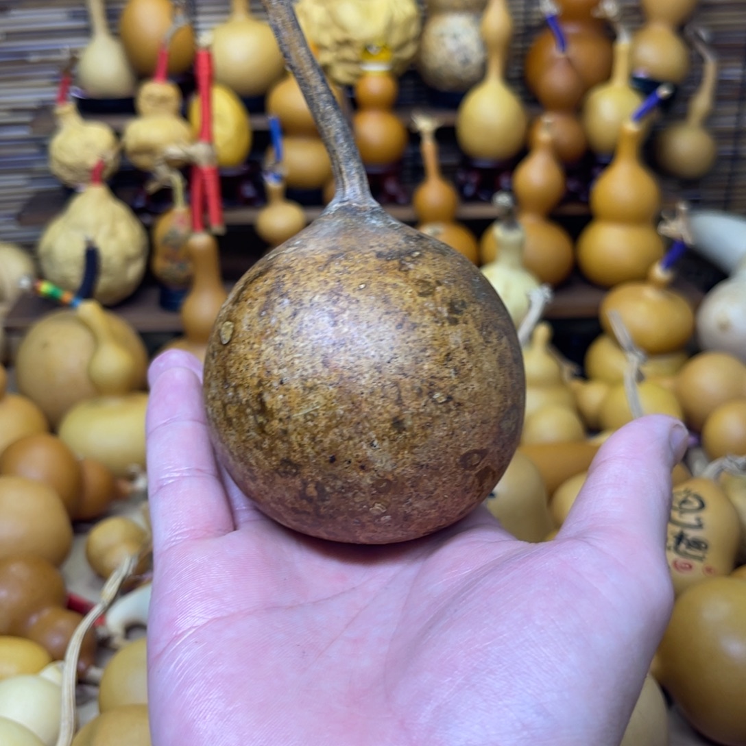 今年新下的花皮苹果4