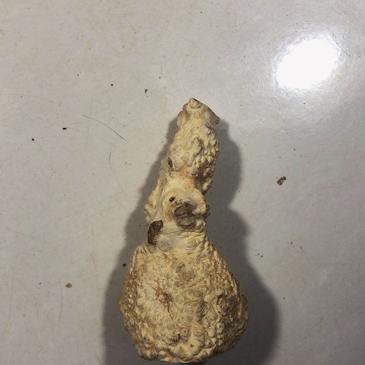 六***哥木木料木料木料木料