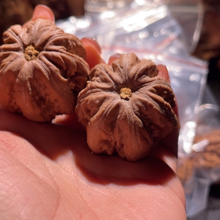 吊坠桃核九哥楸核46松