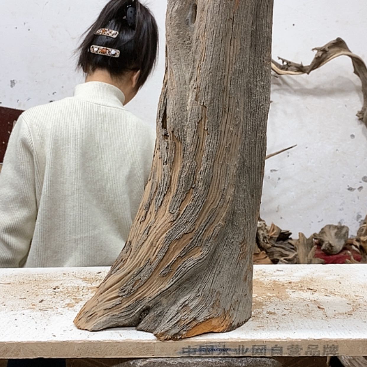 【闪购商品】柏木游**生我们都是好孩子