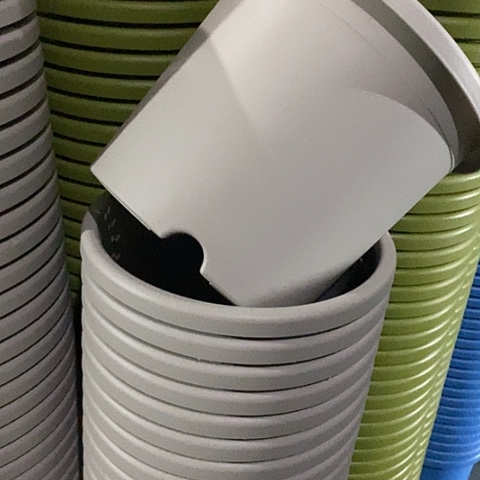 树脂四季5号灰白无托10个