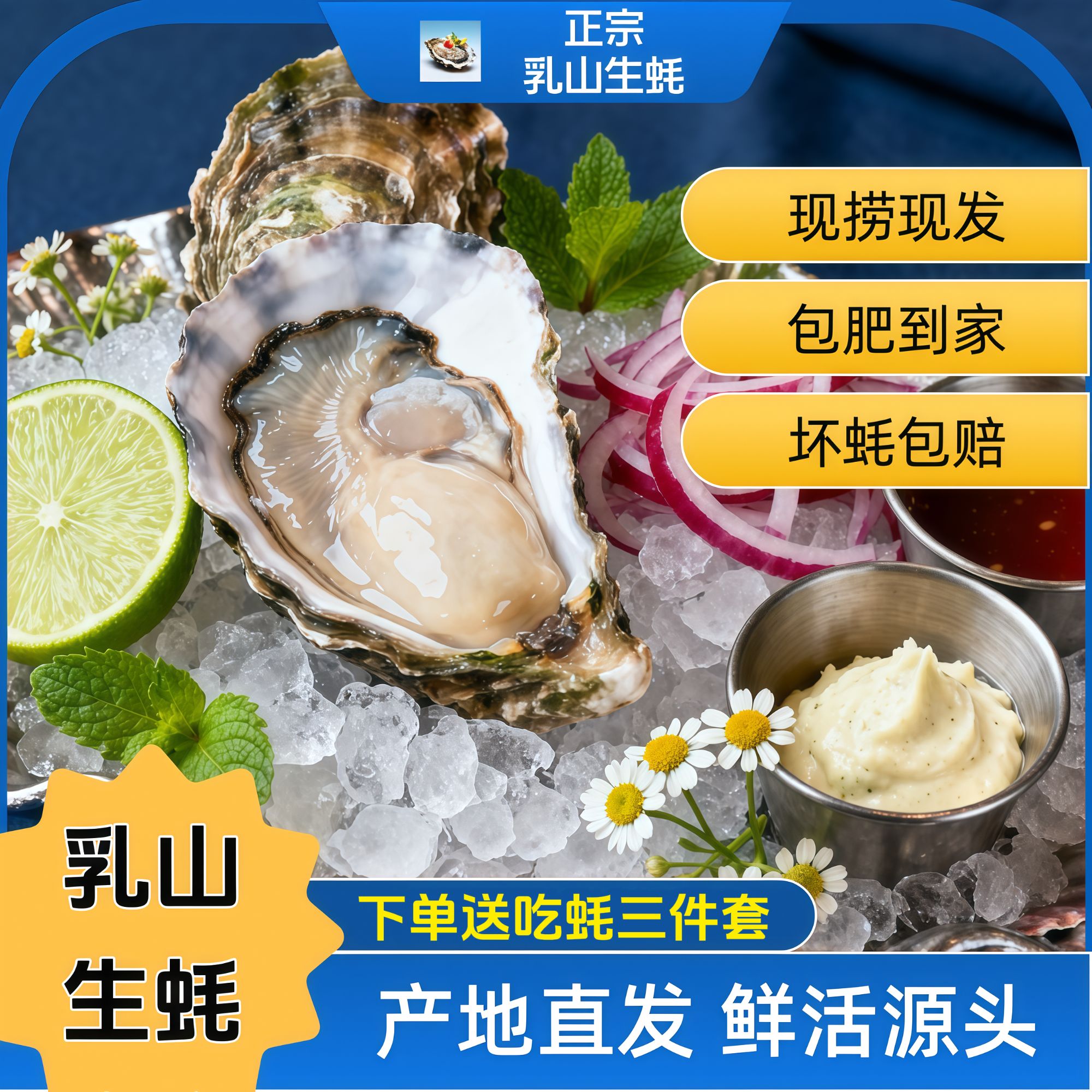 【买两斤送三斤到手五斤】正宗乳山生蚝鲜活肥嫩可蒸煮烤的海鲜美味