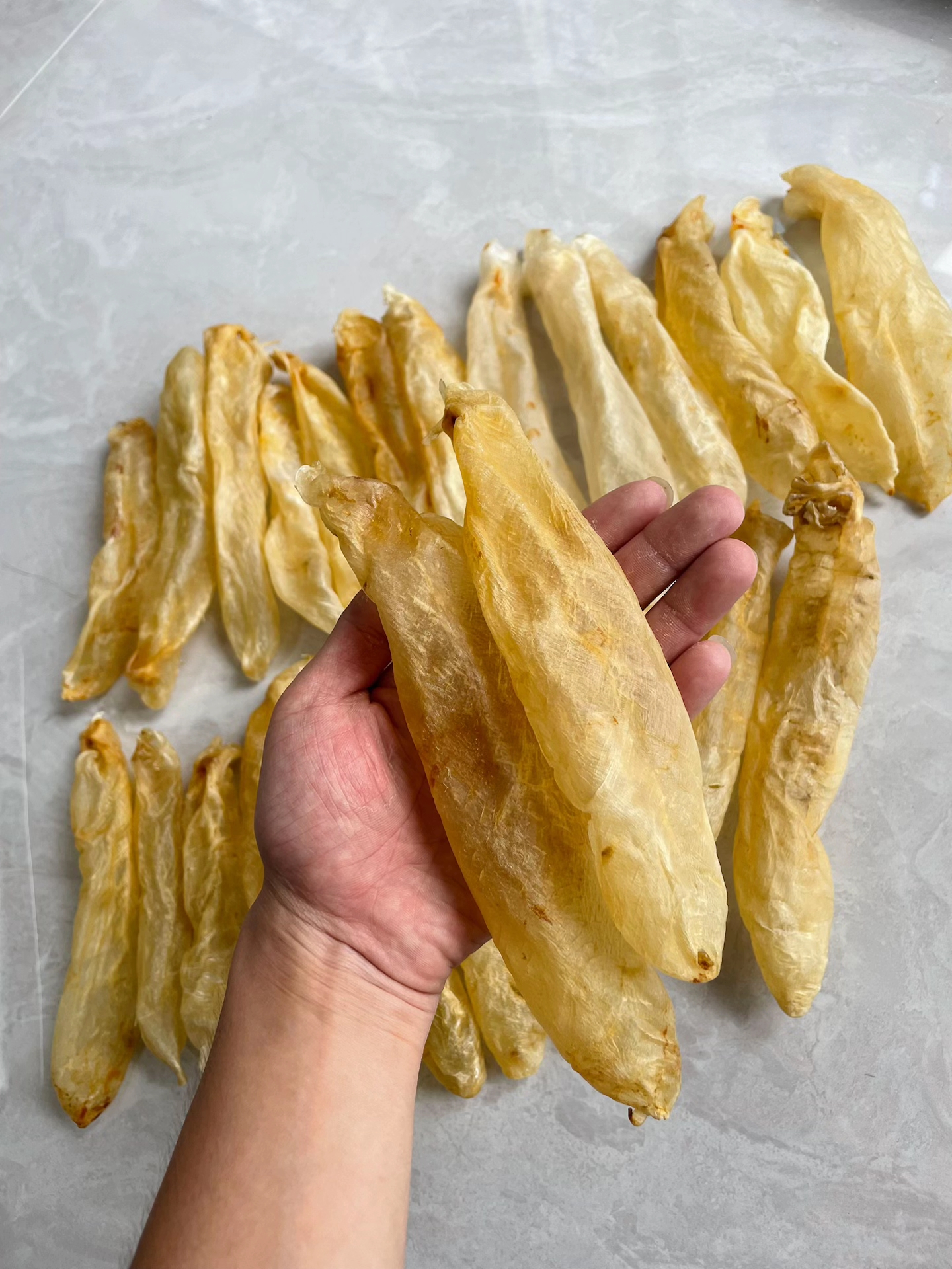 漂亮精选甲肚筒 500克