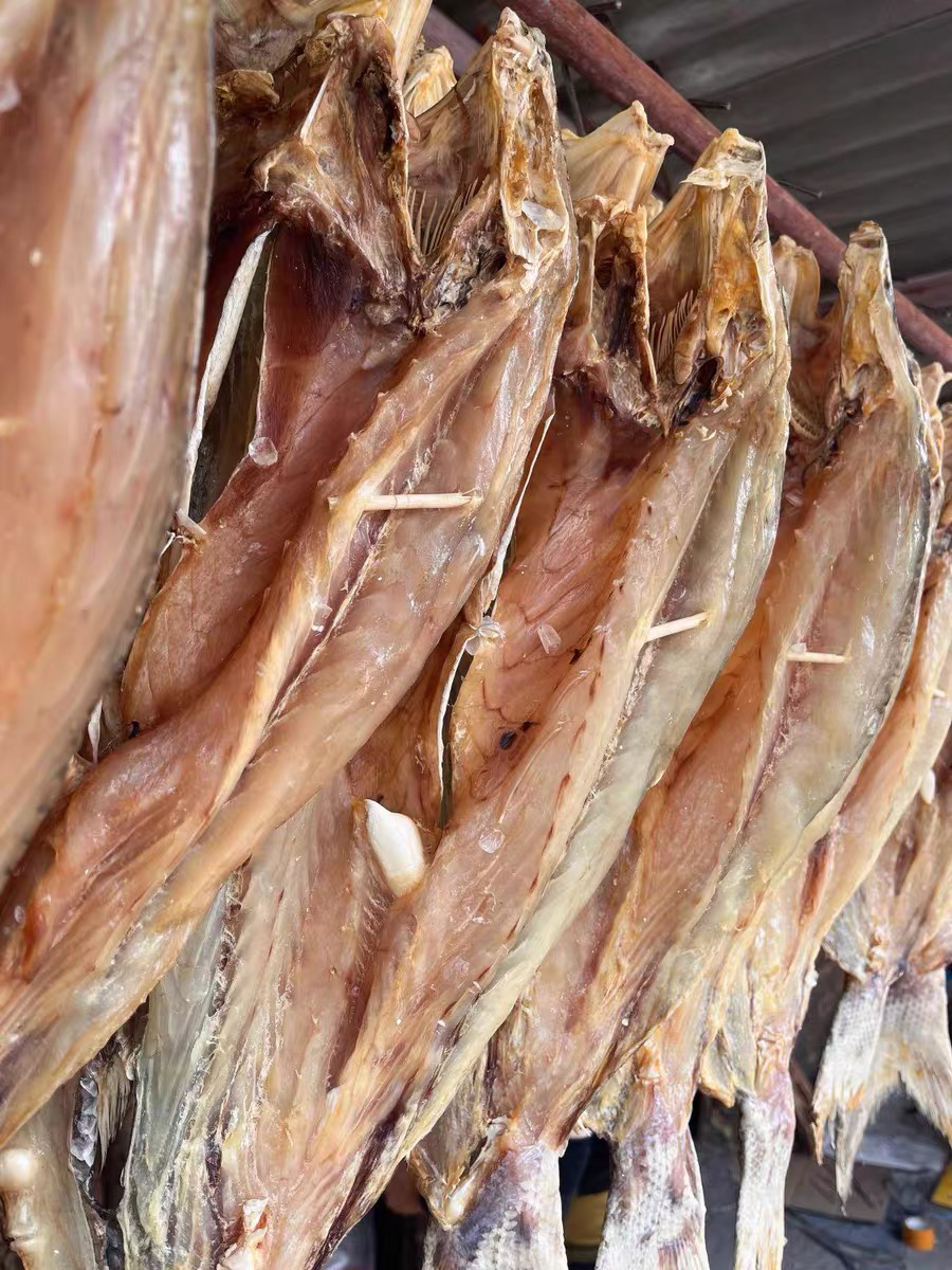 大马友鱼干海捕天然新鲜整条现晒海味咸鱼干货湛江马鲛鱼鲅鱼送礼