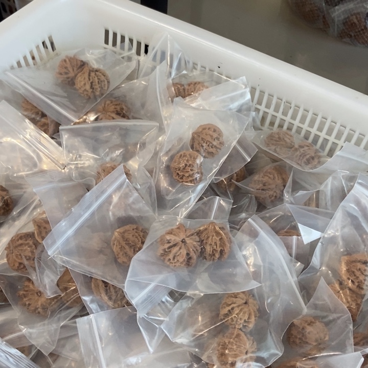 吊坠文玩核桃三棱瑕疵