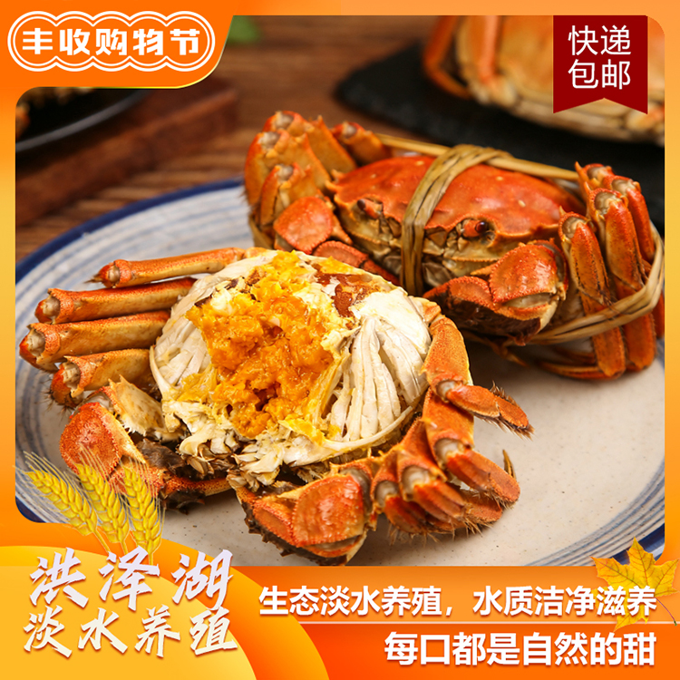 （活蟹）全母河蟹8送2（2点0-1点7两）共10只洪泽湖蟹礼螃蜞包邮