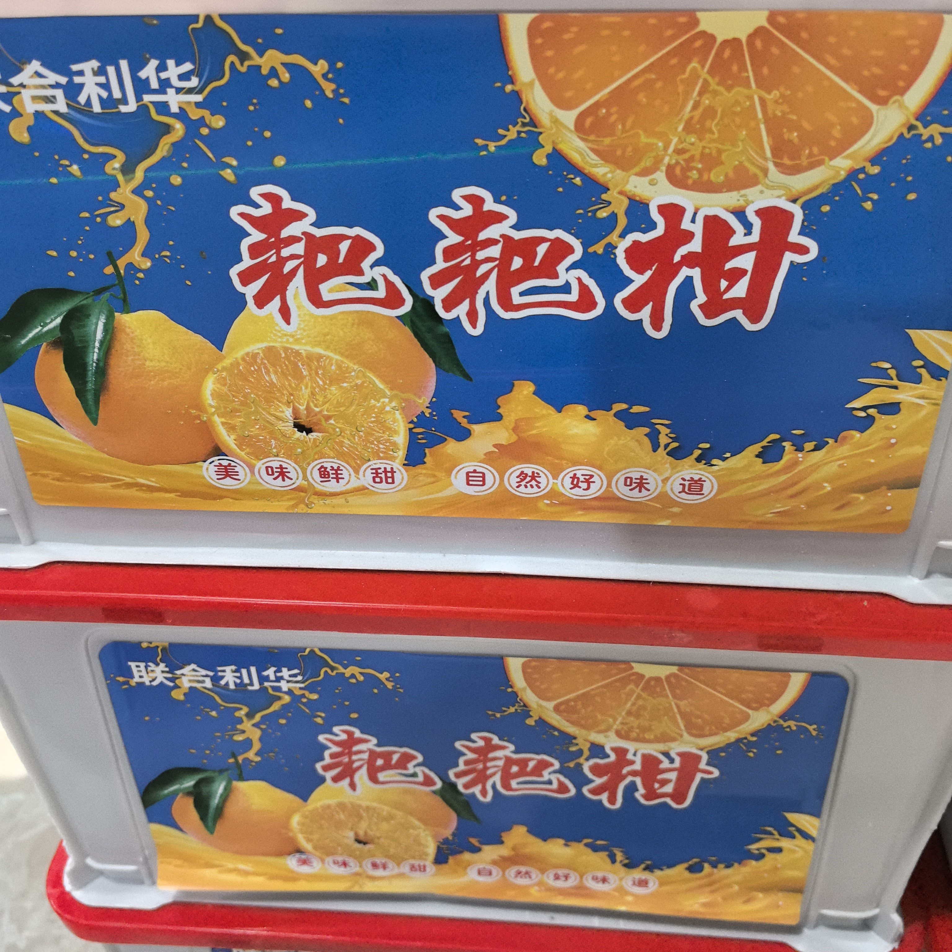 春见/耙耙柑*1箱（箱约5.5斤）包装随机四川省