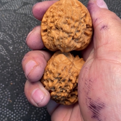 文玩核桃把件官帽3.3