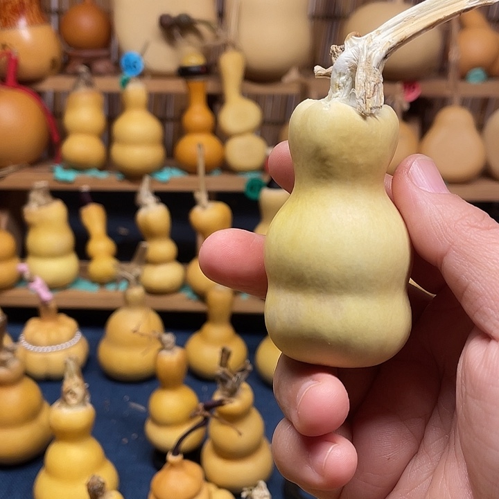 G***e11111111111111111111