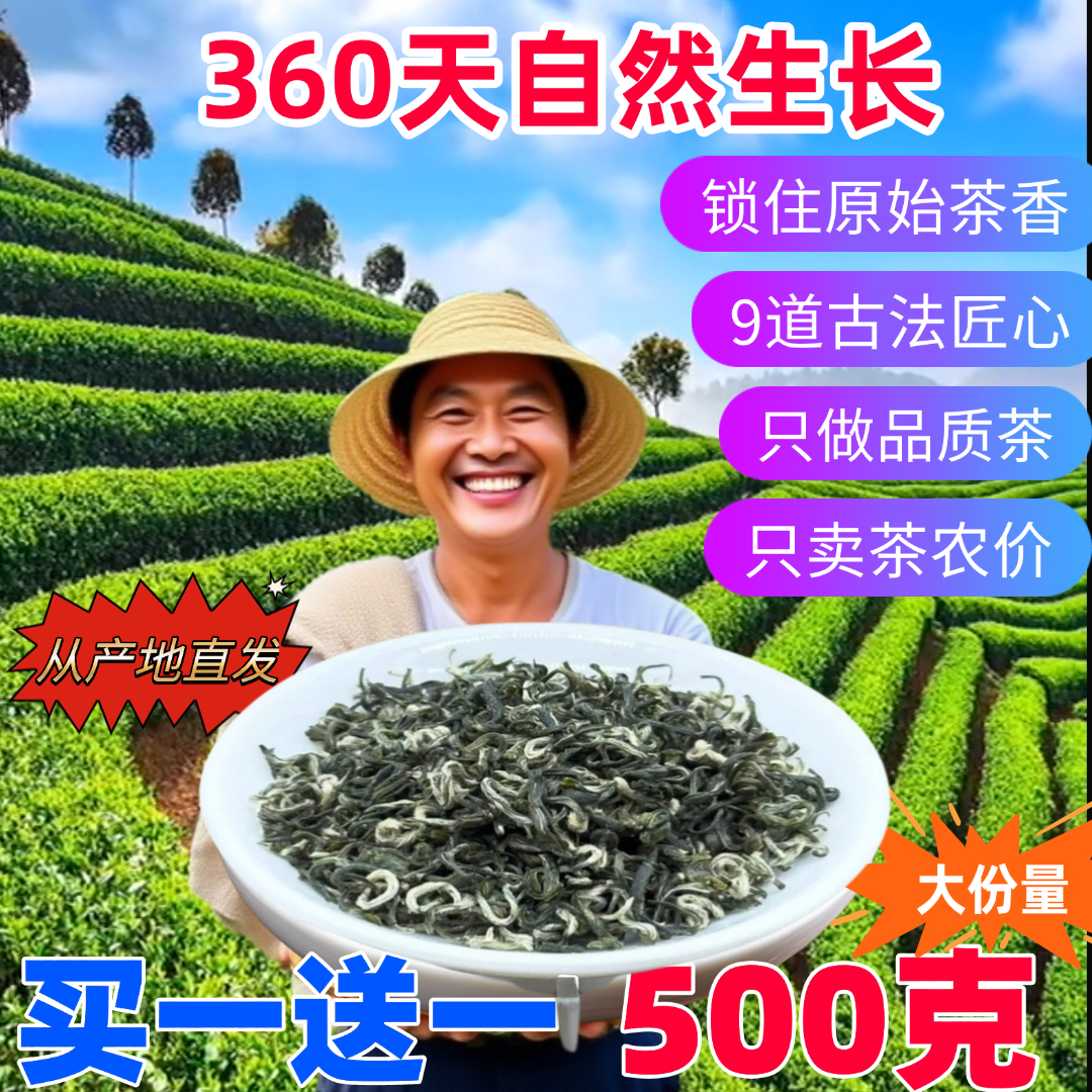 【新客专享】浓香型新茶贵州绿茶高山云雾嫩芽毛尖茶浓郁明前春茶
