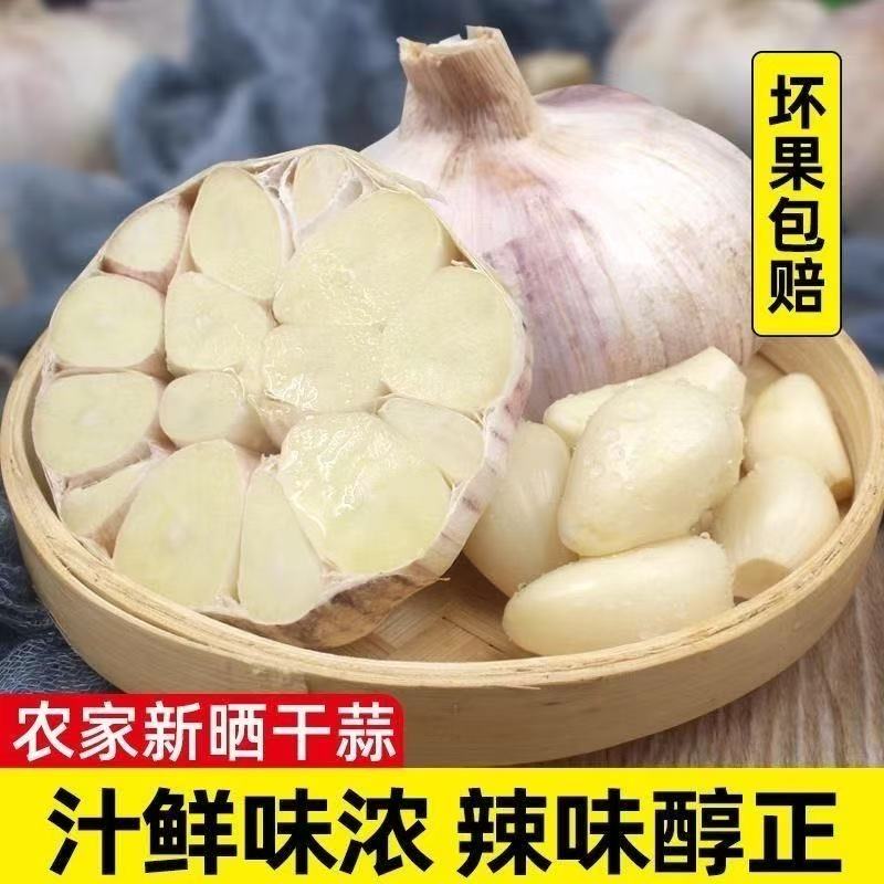 山东大蒜批发大蒜正宗蒜头紫皮大蒜