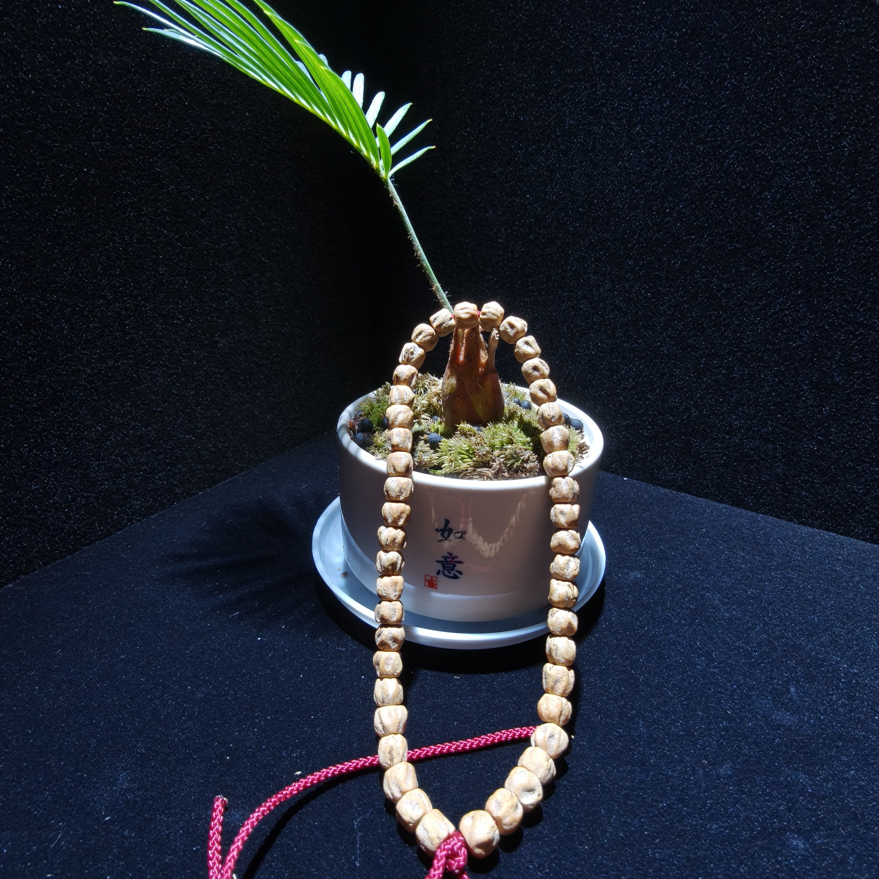 热振微脏鬼脸原皮精切手持，快速包浆上色 】