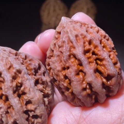 把件文玩核桃东北野生楸子小园 145