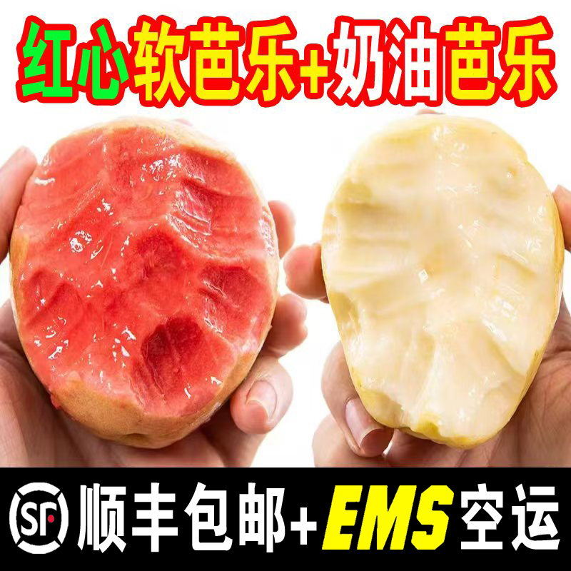 【顺丰放软吃】广西红心芭乐新鲜水果软糯奶油白心芭乐红心番石榴商品图