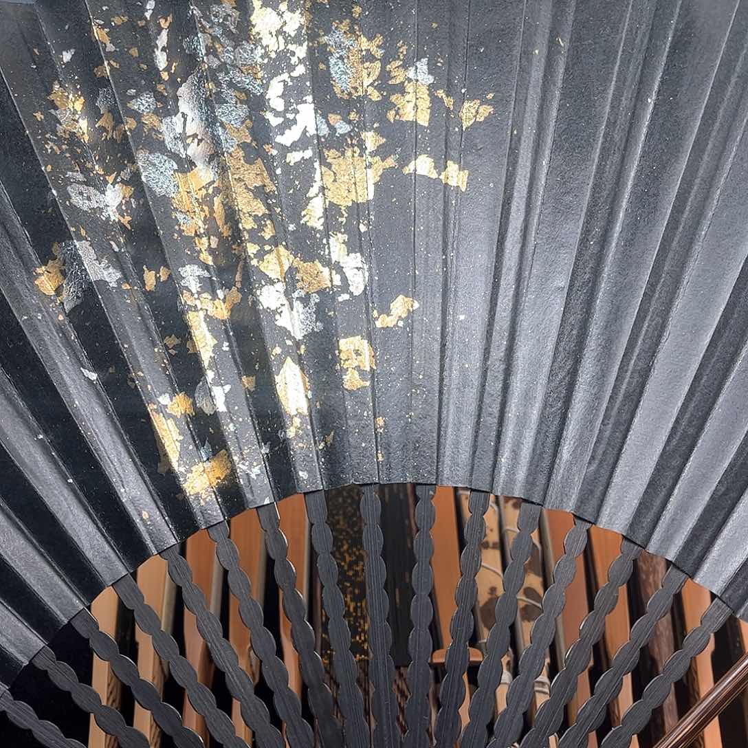 扇子爆炸金龙鳞棕竹