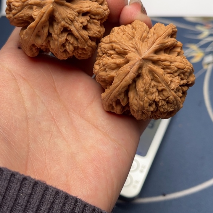 文玩核桃把件粗筋47