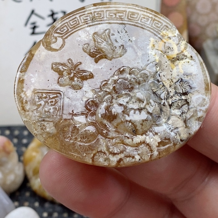 颈饰未镶嵌硅化珊瑚（珊瑚玉）有瑕