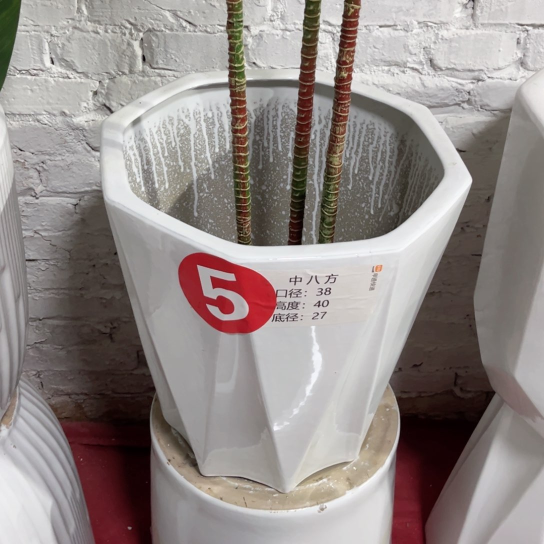 陶瓷青****话5号特大号正常品