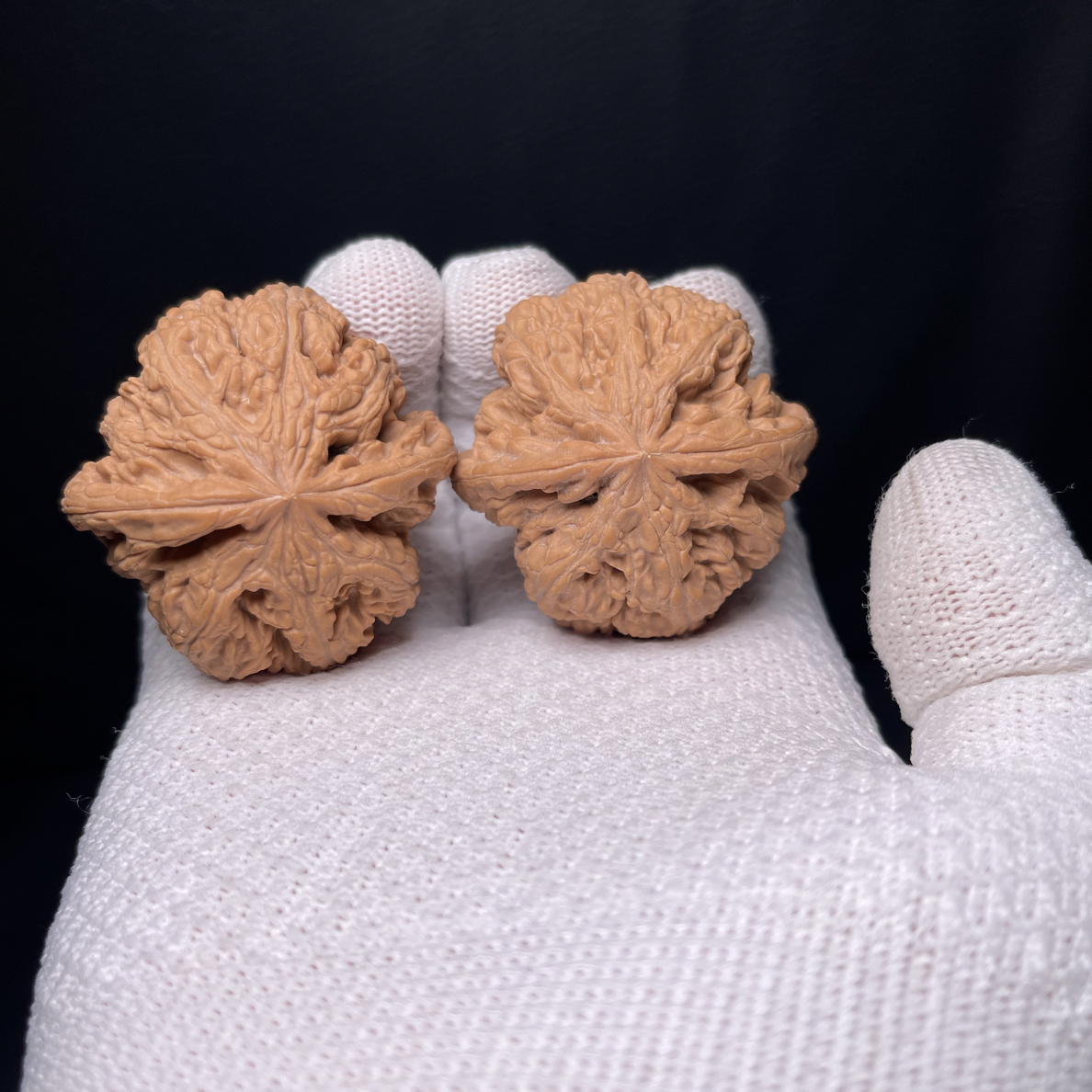 文玩核桃大粗筋狮子头八筋聚顶尺寸45（编号a269）