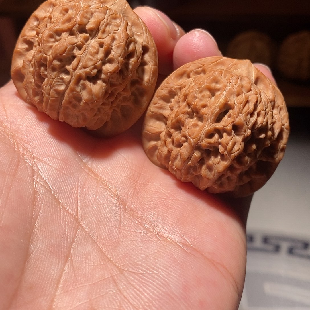 文玩核桃把件007平谷骰子原桩无药果血麒麟