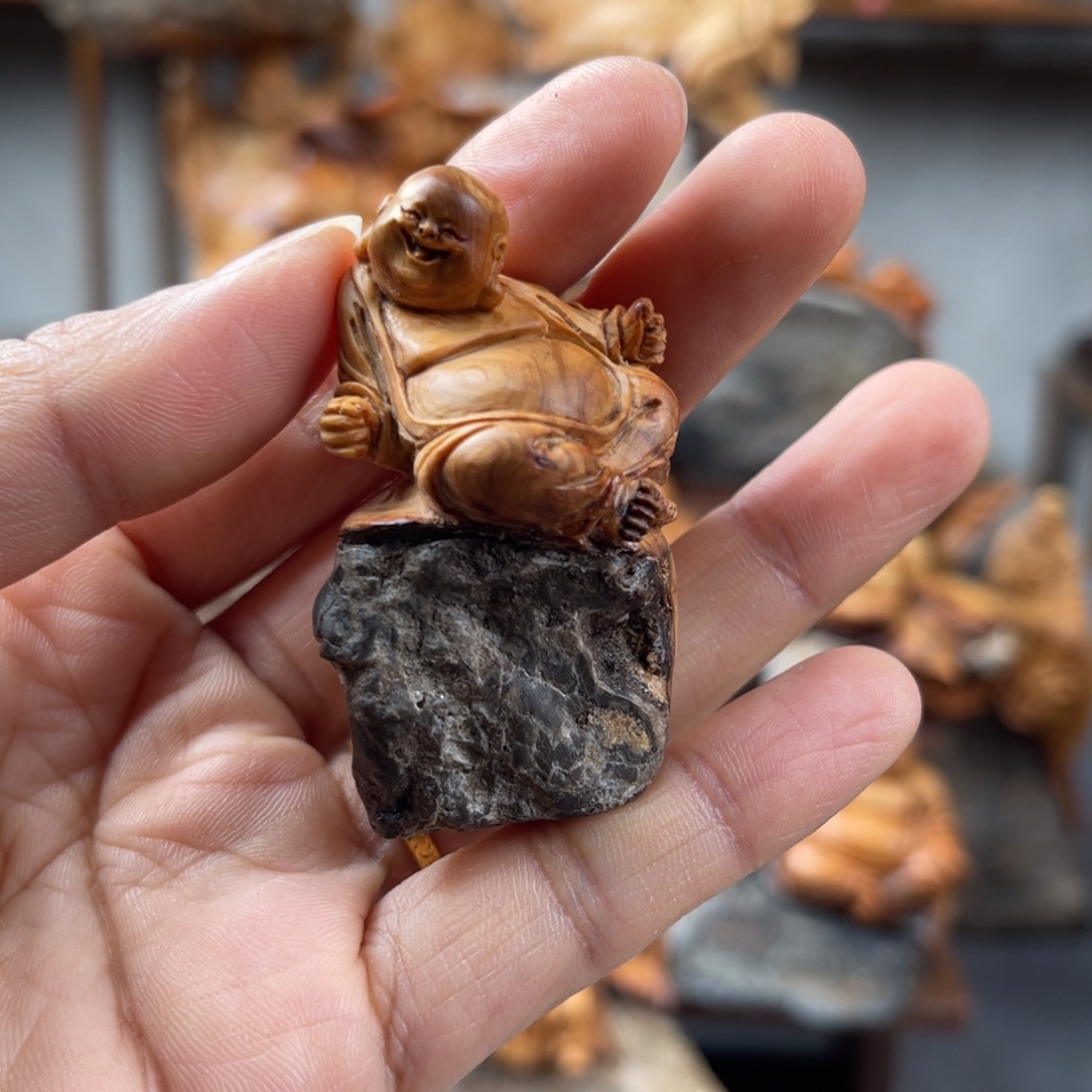 柏木（崖柏）崖柏太行山脉