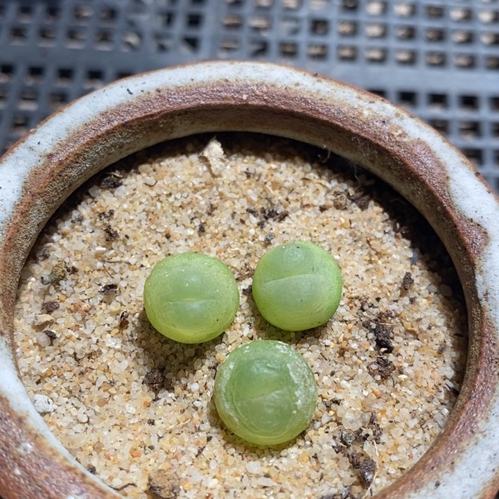 17290有伤一组一组