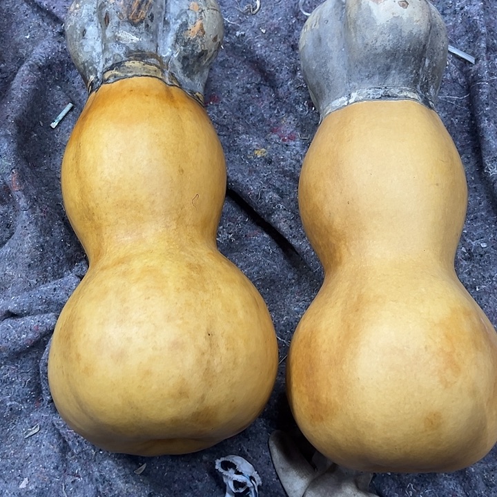 C***葫芦葫芦葫芦葫芦