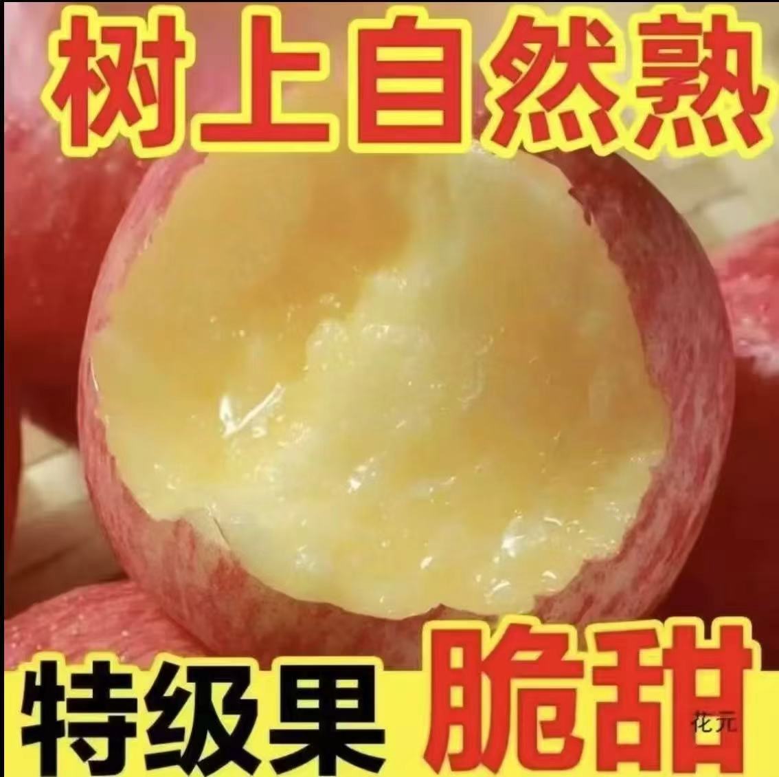 【产地直发｜果香浓郁】2025新摘陕西红富士苹果！脆甜多汁，现摘现发！