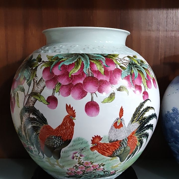 女***君瓷片景德镇陶瓷花鸟坛子