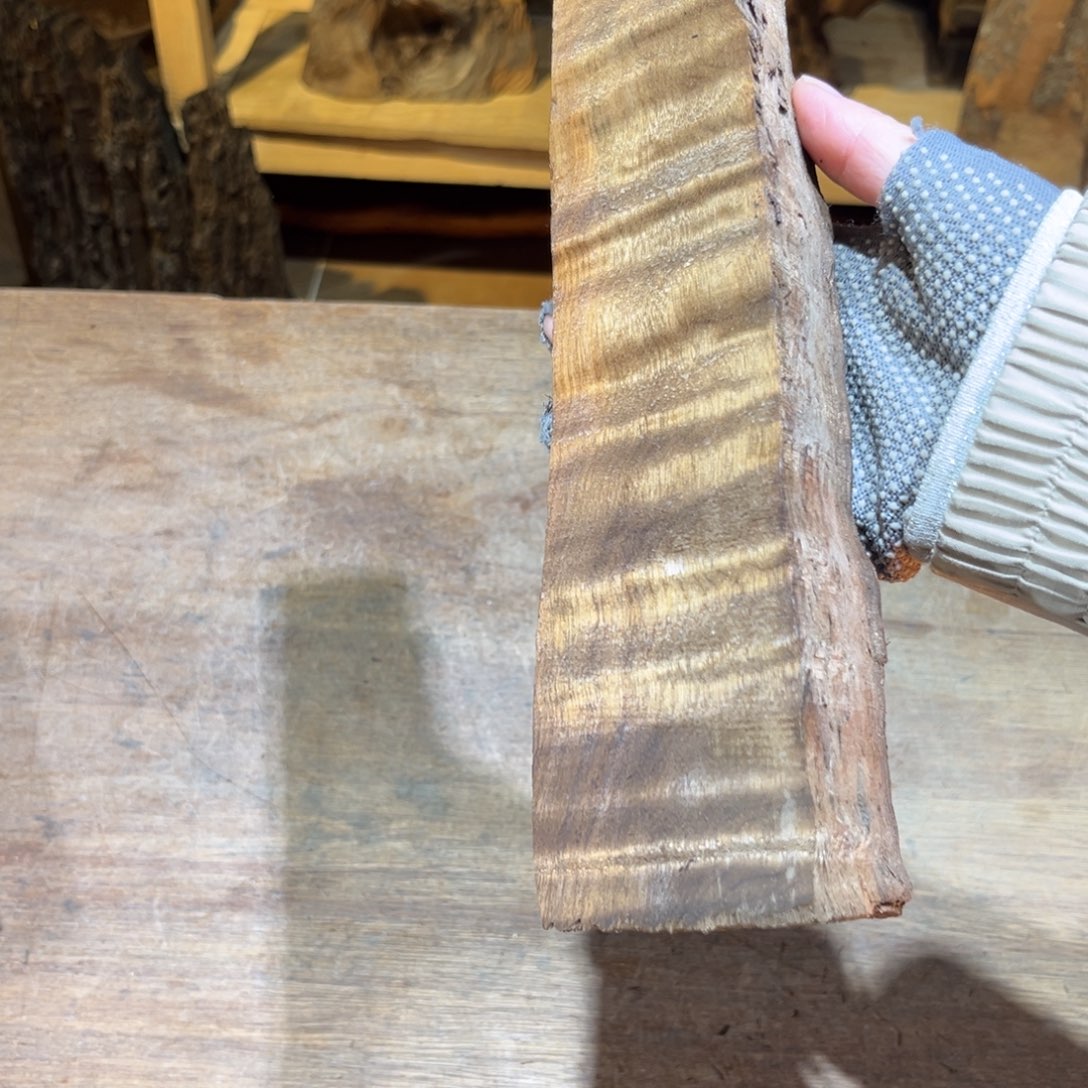 金丝楠金丝楠原材料