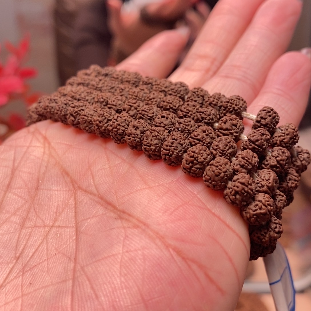 背***子菩提籽类平细长串