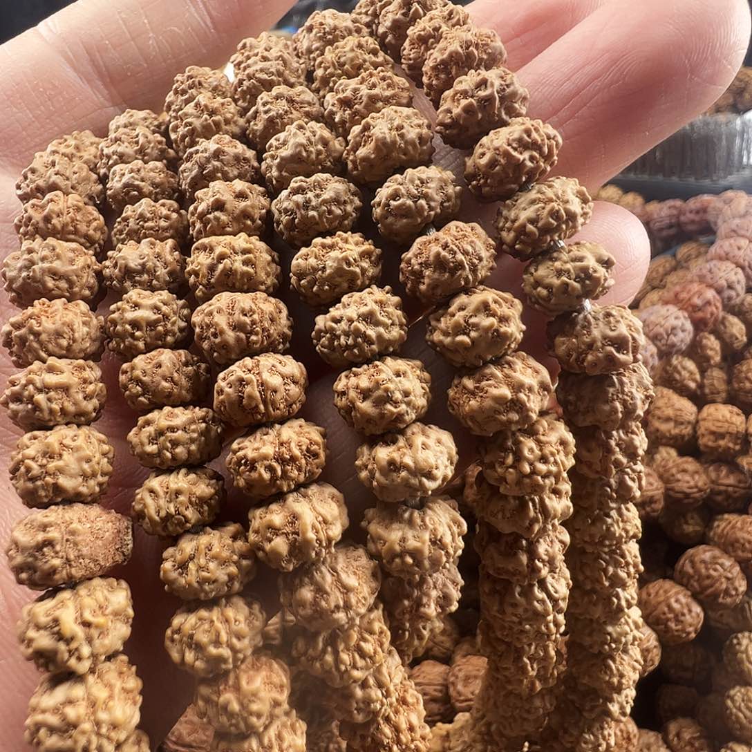 金刚菩提吊坠超矮野生老籽，拍两条保108