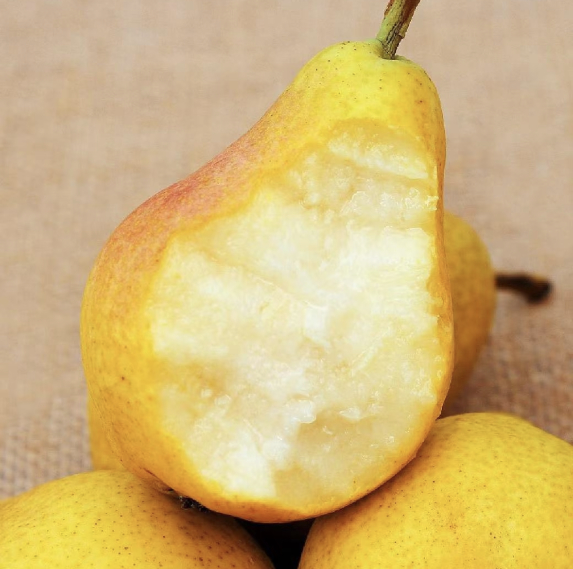 【福利款】甘肃天水老品种香蕉梨4.5-5斤包邮 放软后入口即化香甜