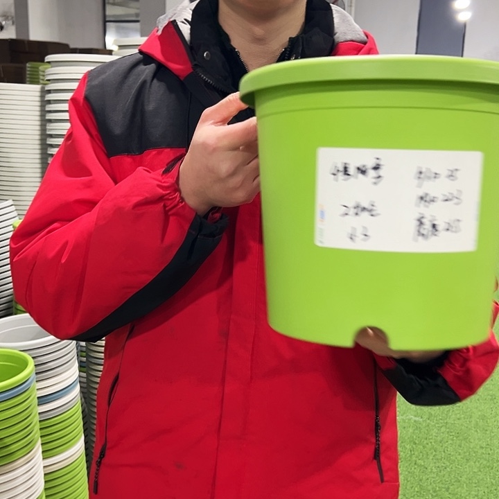 特价4号口25高21.5果绿色8只无托