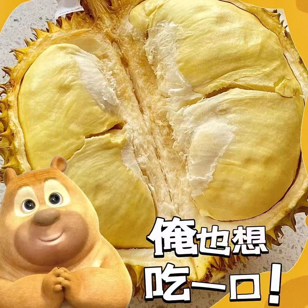 （哲悦严选一物一称）金枕老树新鲜金枕榴莲果软糯香甜大3-8斤核小金枕泰国东部