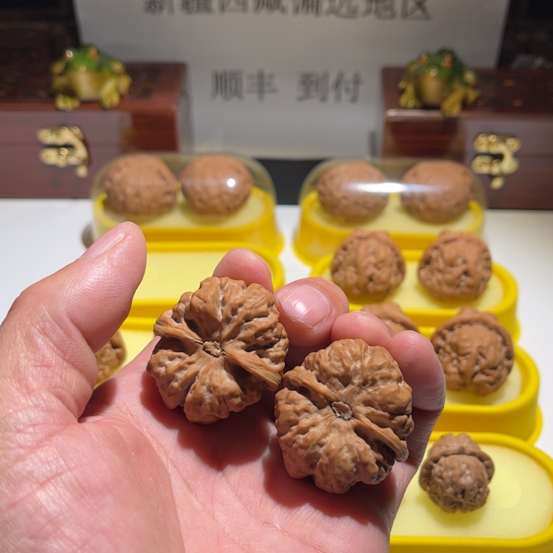 ****遇文玩核桃把件昌平娃直播中欢迎观看