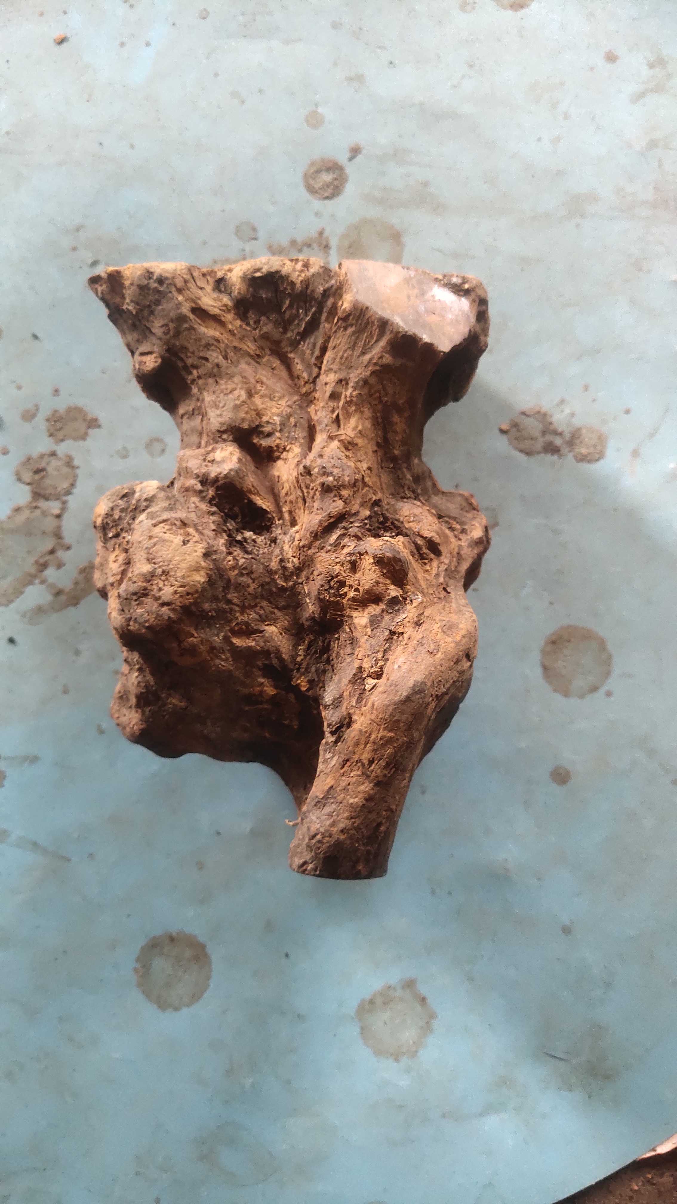 专用链接麻梨疙瘩工艺品木料