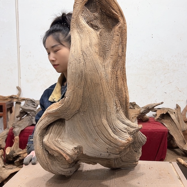 柏木大****长我们都是好孩子